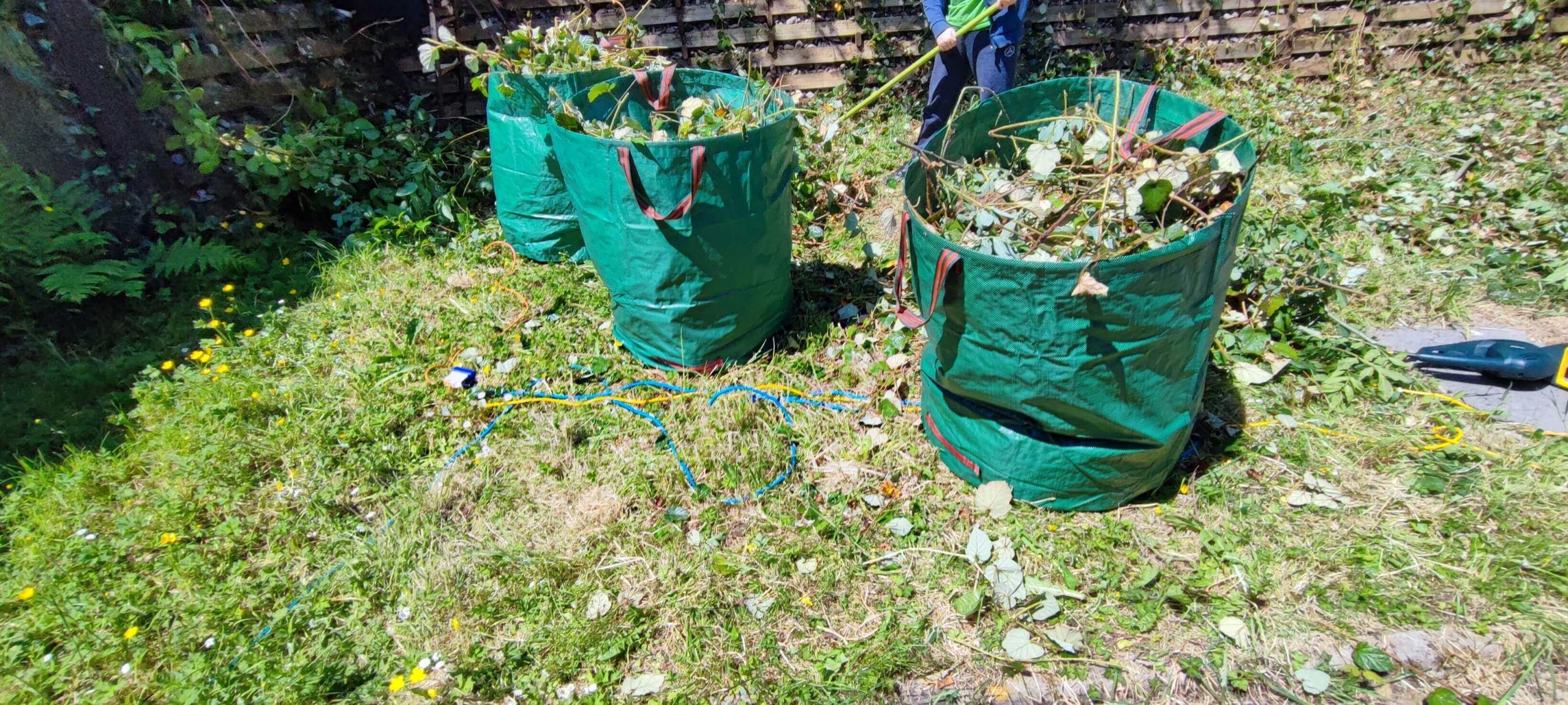 Green Waste Removals Mortlake SW14