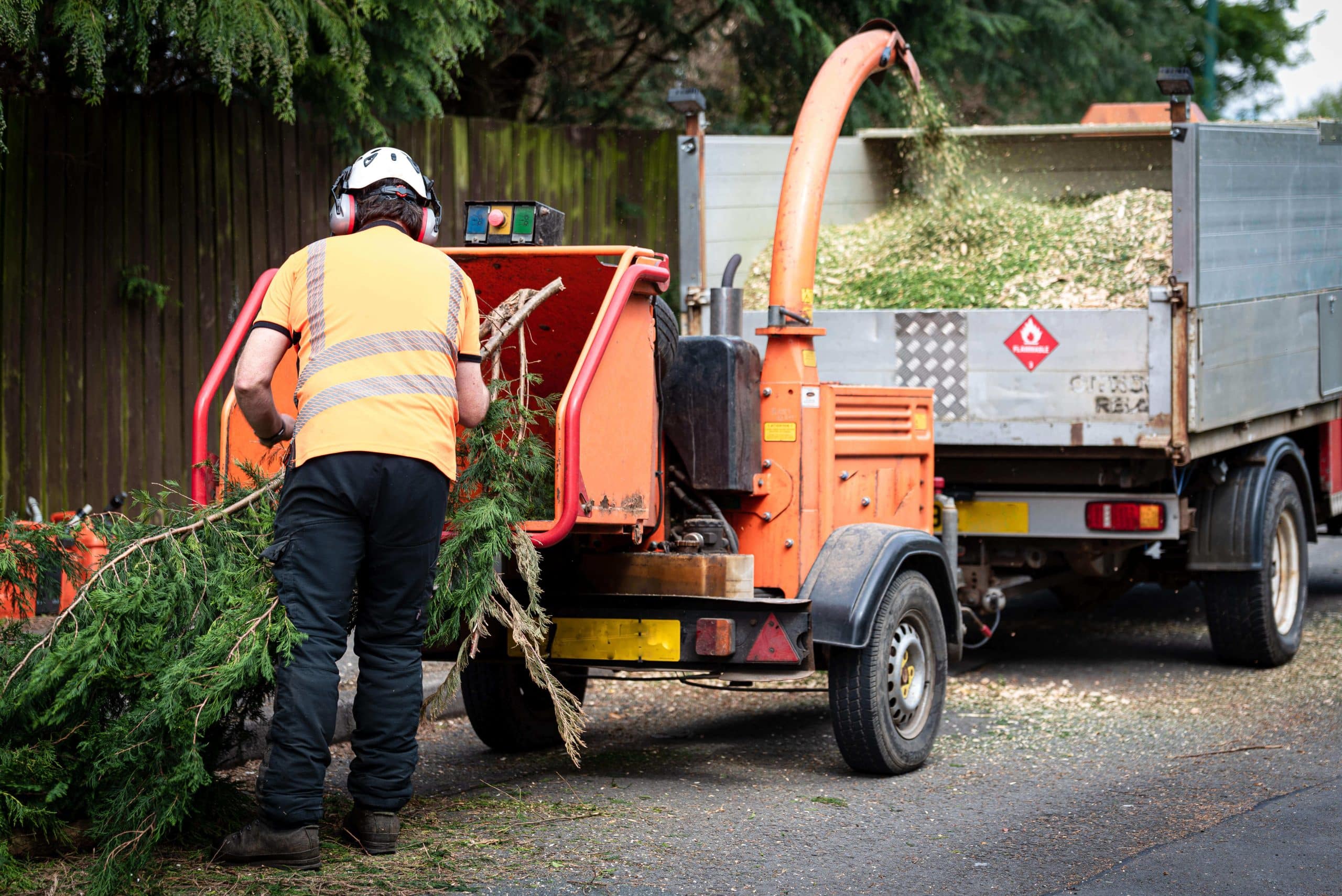 Tree Stump Grinding/Removal Mortlake SW14